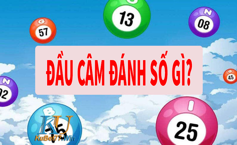 Đầu câm đánh số gì? Lô đầu câm đít câm đánh số gì?