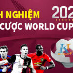 Kinh nghiệm cá cược World Cup 2022 hiệu quả thắng lớn