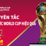 Tổng hợp những nguyên tắc vàng để cá cược World Cup hiệu quả