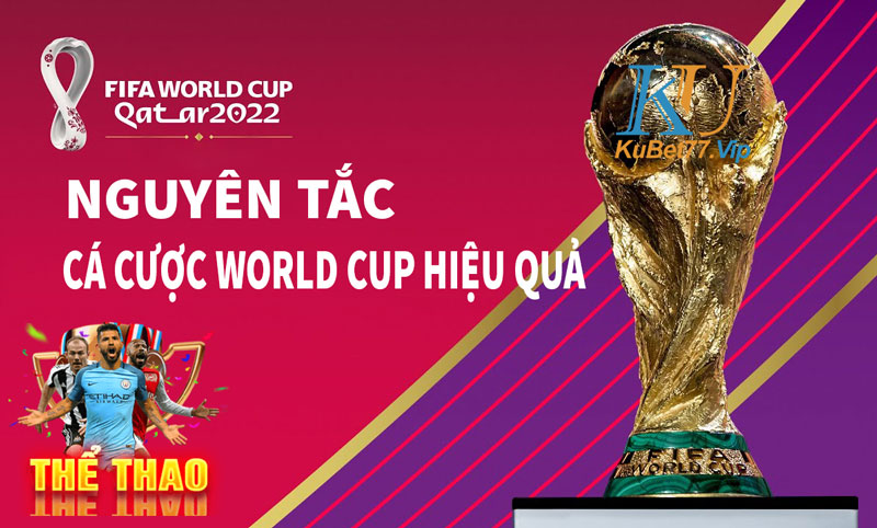 Tổng hợp những nguyên tắc vàng để cá cược World Cup hiệu quả
