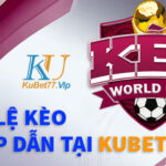 Tỷ lệ kèo World Cup ở đâu phân tích và cung cấp chính xác nhất